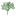 美国中央公园