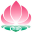 刺桐文学城网