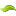 bambooveneersuppli