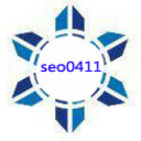 大连seo网