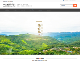 今大福普洱茶