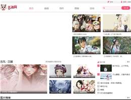 安庆杏猫网