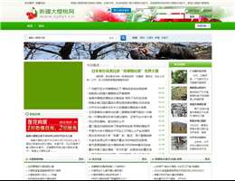 新疆大樱桃网